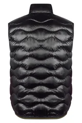 Жилет BLAUER USA X03032 COPLEY