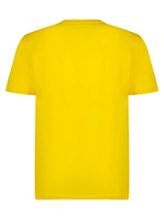 Футболка AERONAUTICA MILITARE 251TS1580J372